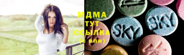 гашик Алексеевка
