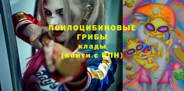 индика Абдулино